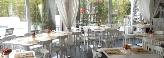 Banus Experience