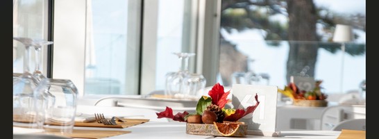 Terrazza Belvedere di Vanacore Giacomo